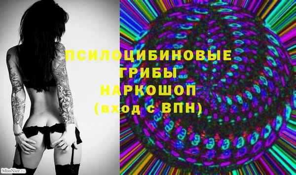 индика Балахна