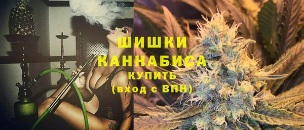 индика Балахна