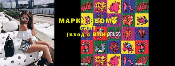индика Балахна