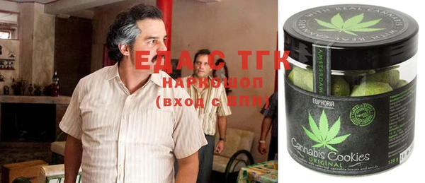 индика Балахна