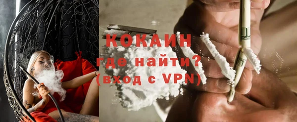 индика Балахна