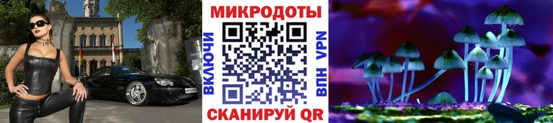 магазин продажи   Рудня  Галлюциногенные грибы Cubensis 
