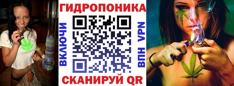 Каннабис гибрид Рудня